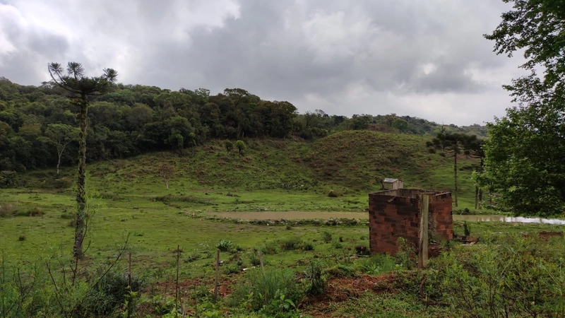 Riozinho- Sítio de 195 Hectares Serra da Boa Vista: 1ª foto da galeria de imagens do imóvel
