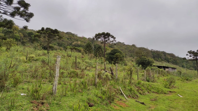 Riozinho- Sítio de 195 Hectares Serra da Boa Vista: 8ª foto da galeria de imagens do imóvel