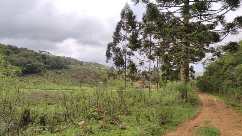 Riozinho- Sítio de 195 Hectares Serra da Boa Vista: 21ª foto da galeria de imagens do imóvel