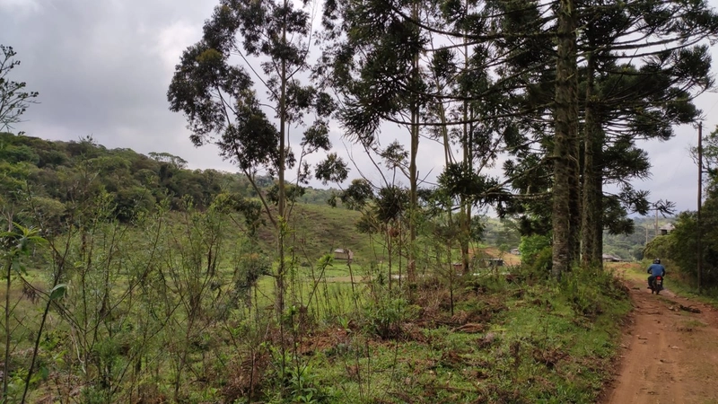 Riozinho- Sítio de 195 Hectares Serra da Boa Vista: 5ª foto da galeria de imagens do imóvel