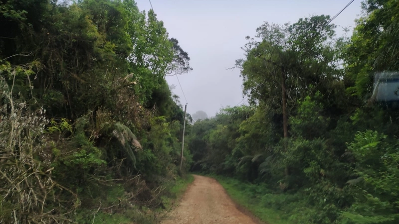 Riozinho- Sítio de 195 Hectares Serra da Boa Vista: 14ª foto da galeria de imagens do imóvel