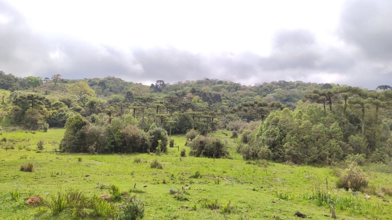 Riozinho- Sítio de 195 Hectares Serra da Boa Vista: 13ª foto da galeria de imagens do imóvel