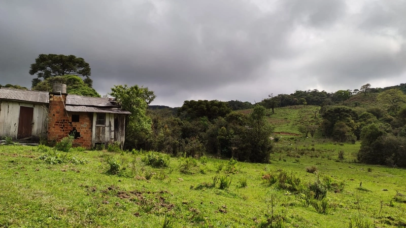 Riozinho- Sítio de 195 Hectares Serra da Boa Vista: 11ª foto da galeria de imagens do imóvel