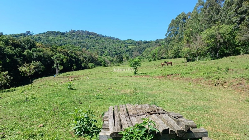 Rolante- 3 Hectares /Com entrada de Luz / Canta Galo: 13ª foto da galeria de imagens do imóvel