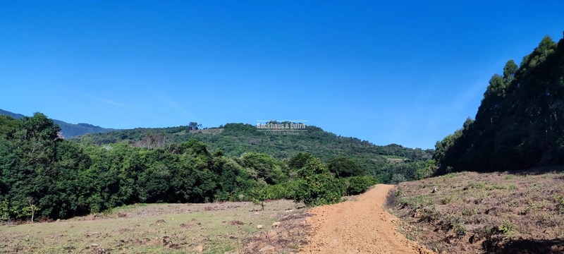 Rolante- 3 Hectares /Com entrada de Luz / Canta Galo: 2ª foto da galeria de imagens do imóvel