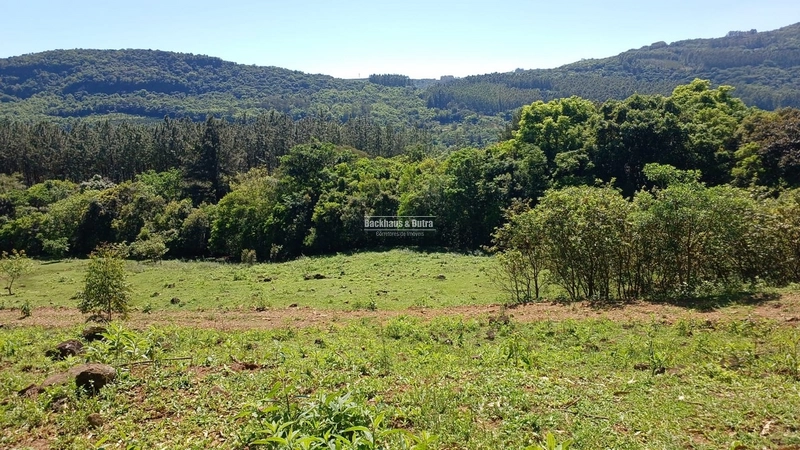 Rolante- 3 Hectares /Com entrada de Luz / Canta Galo: 1ª foto da galeria de imagens do imóvel