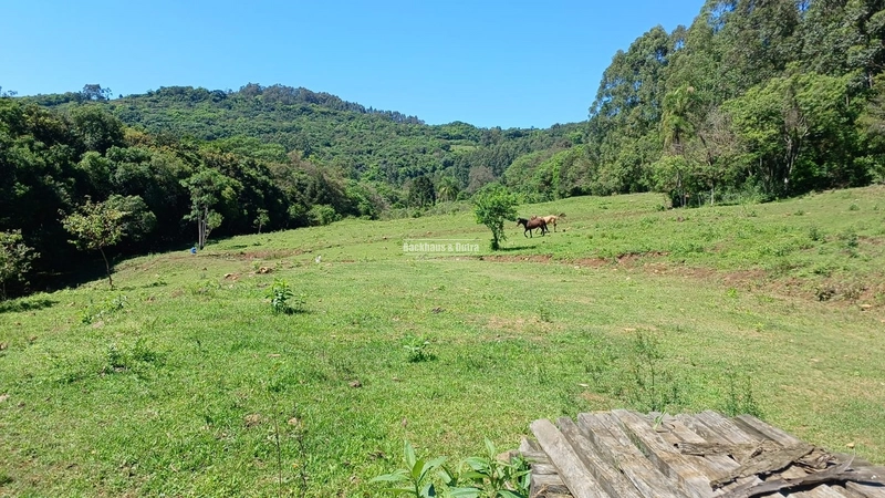 Rolante- 3 Hectares /Com entrada de Luz / Canta Galo: 6ª foto da galeria de imagens do imóvel