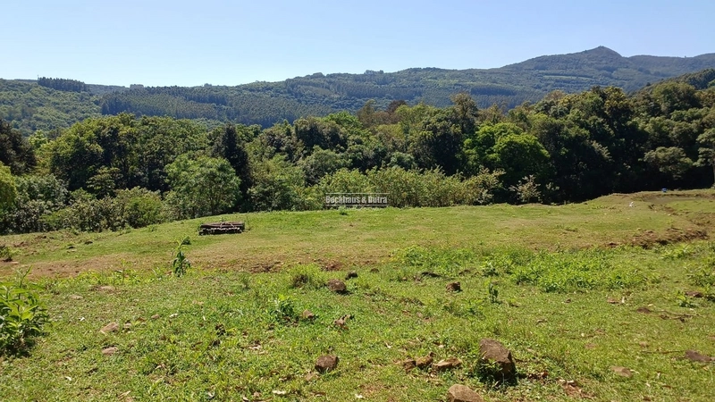 Rolante- 3 Hectares /Com entrada de Luz / Canta Galo: 11ª foto da galeria de imagens do imóvel