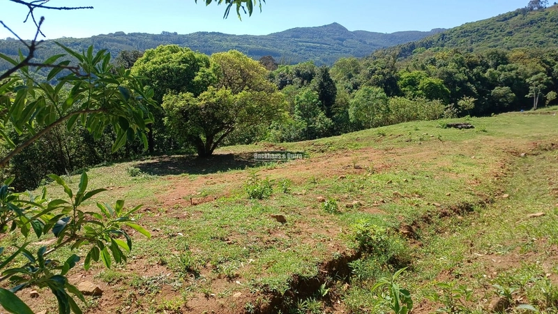 Rolante- 3 Hectares /Com entrada de Luz / Canta Galo: 7ª foto da galeria de imagens do imóvel