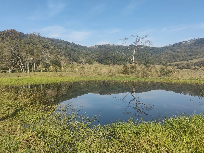 Santo Antônio da Patrulha- 5 Hectares/ 3 açudes/ Casa/ Galpão: 6ª foto da galeria de imagens do imóvel