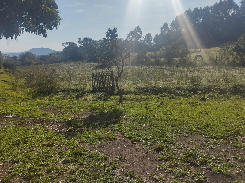 Santo Antônio da Patrulha- 5 Hectares/ 3 açudes/ Casa/ Galpão: 5ª foto da galeria de imagens do imóvel