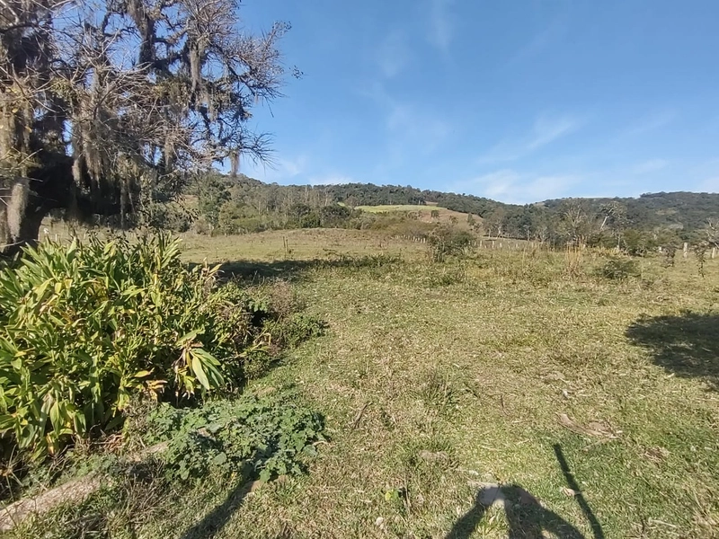 Santo Antônio da Patrulha- 5 Hectares/ 3 açudes/ Casa/ Galpão: 8ª foto da galeria de imagens do imóvel