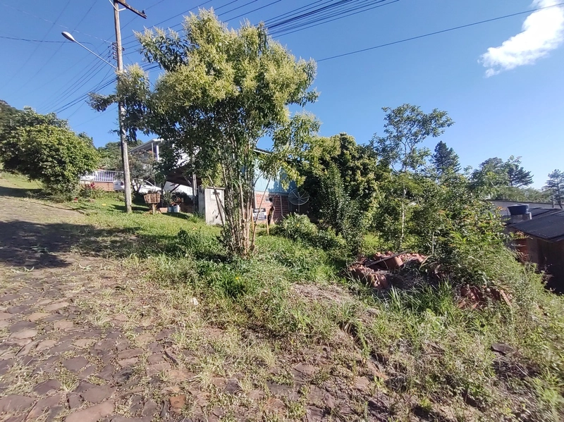 Rolante- Terreno 11x37 Picaddily: 2ª foto da galeria de imagens do imóvel