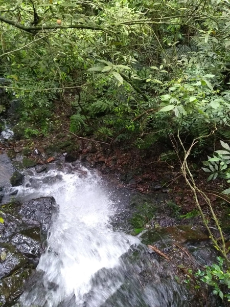 Rolante- Meio Hectare com arroio Ilha Nova: 3ª foto da galeria de imagens do imóvel