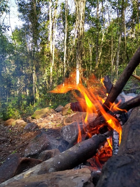 Rolante- Meio Hectare com arroio Ilha Nova: 10ª foto da galeria de imagens do imóvel