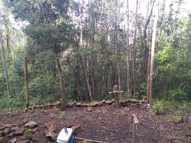 Rolante- Meio Hectare com arroio Ilha Nova: 1ª foto da galeria de imagens do imóvel