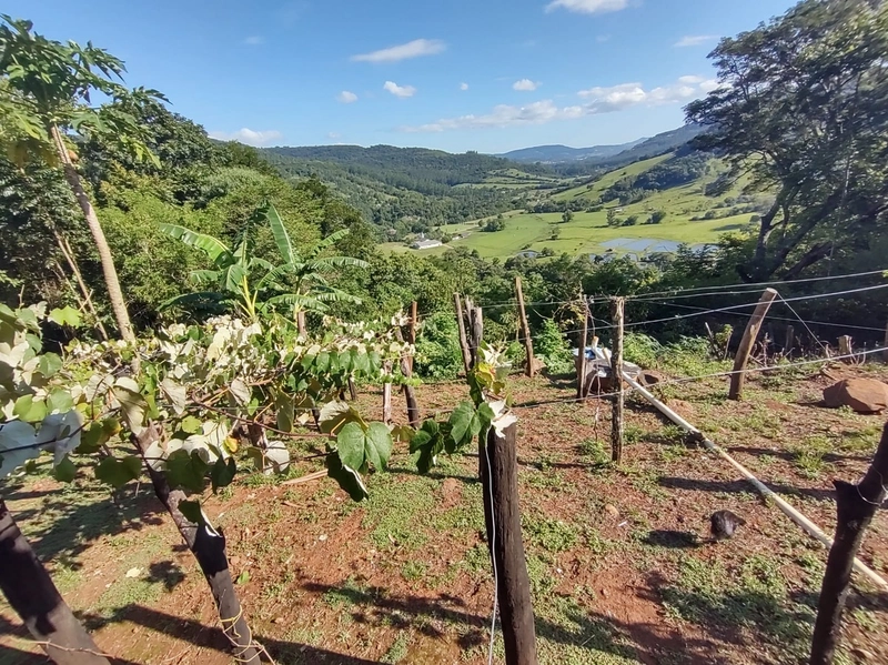 Rolante- Sítio aproximadamente 2,5 Hectares Açude/Casa Ilha Nova: 4ª foto da galeria de imagens do imóvel