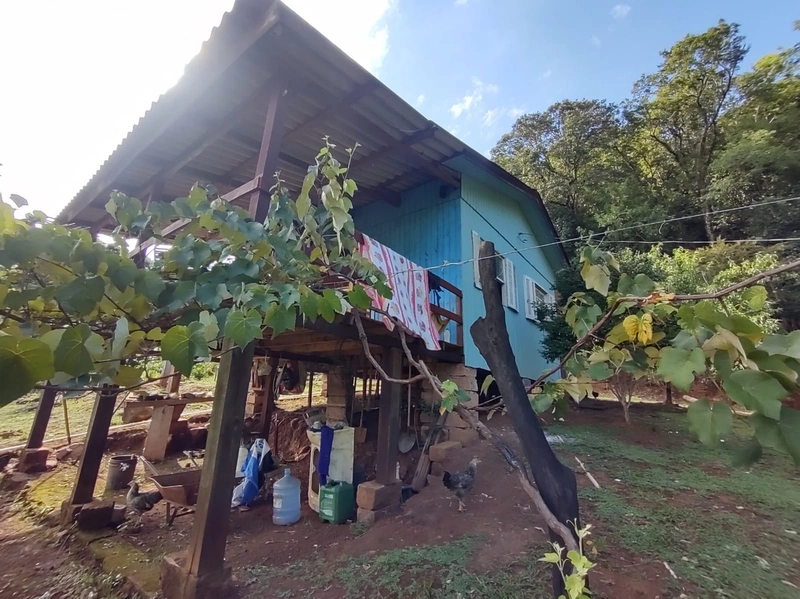 Rolante- Sítio aproximadamente 2,5 Hectares Açude/Casa Ilha Nova: 11ª foto da galeria de imagens do imóvel