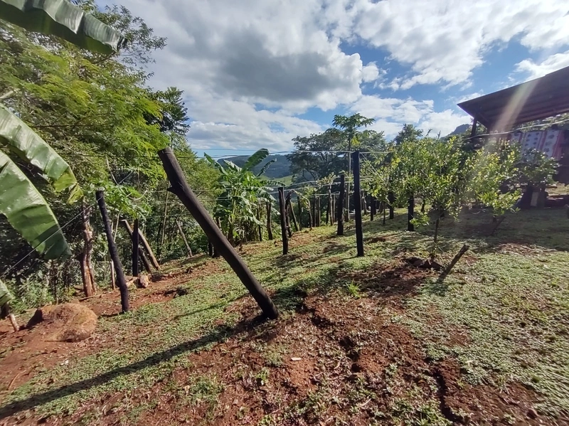 Rolante- Sítio aproximadamente 2,5 Hectares Açude/Casa Ilha Nova: 14ª foto da galeria de imagens do imóvel