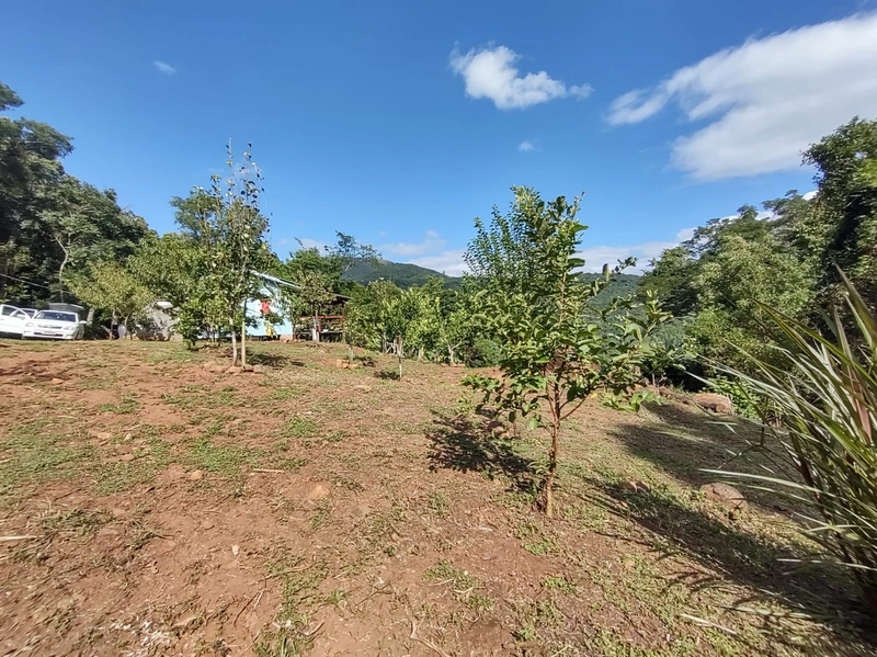 Rolante- Sítio aproximadamente 2,5 Hectares Açude/Casa Ilha Nova: 15ª foto da galeria de imagens do imóvel