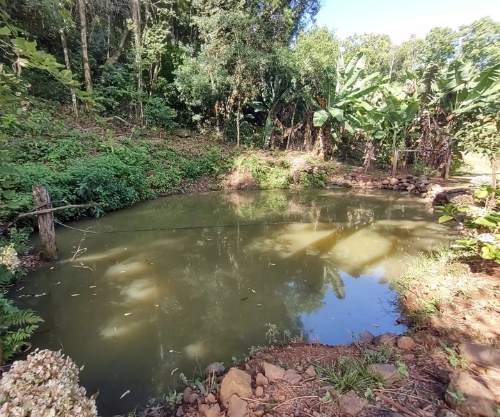 Rolante- Sítio aproximadamente 2,5 Hectares Açude/Casa Ilha Nova: 28ª foto da galeria de imagens do imóvel
