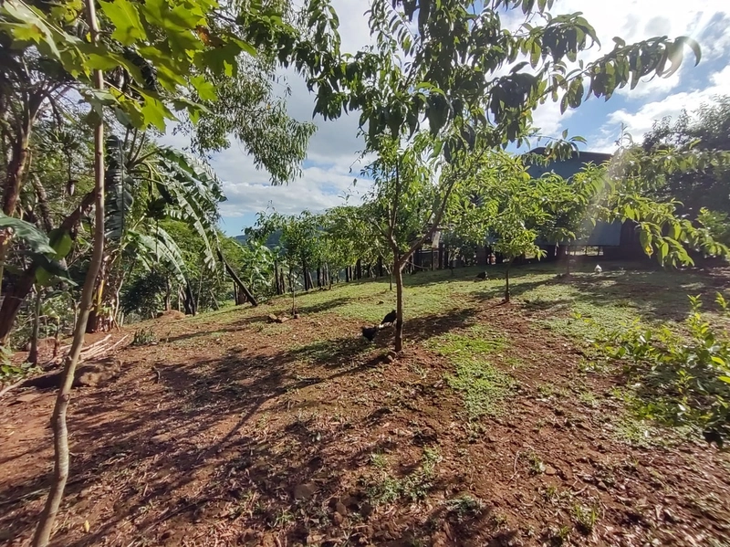 Rolante- Sítio aproximadamente 2,5 Hectares Açude/Casa Ilha Nova: 12ª foto da galeria de imagens do imóvel