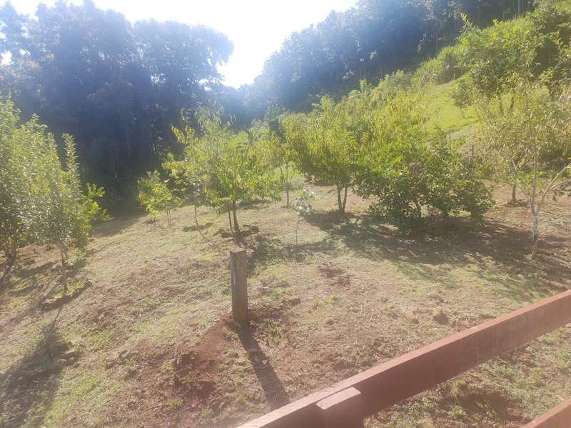 Rolante- Sítio aproximadamente 2,5 Hectares Açude/Casa Ilha Nova: 3ª foto da galeria de imagens do imóvel