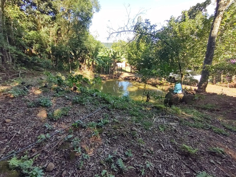 Rolante- Sítio aproximadamente 2,5 Hectares Açude/Casa Ilha Nova: 7ª foto da galeria de imagens do imóvel