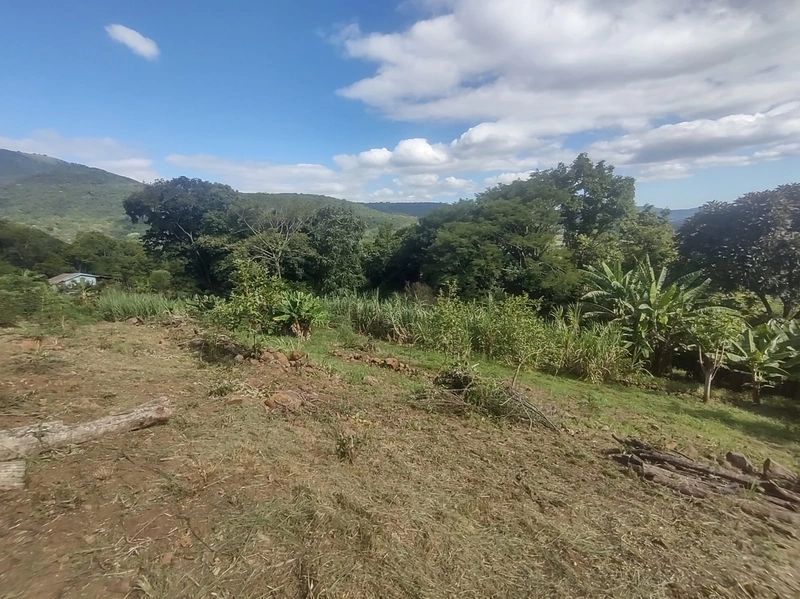 Rolante- Sítio aproximadamente 2,5 Hectares Açude/Casa Ilha Nova: 19ª foto da galeria de imagens do imóvel