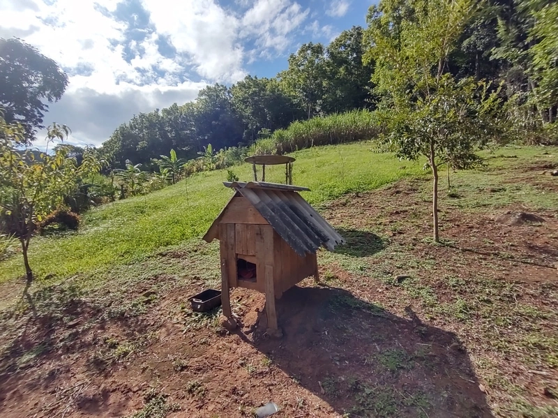Rolante- Sítio aproximadamente 2,5 Hectares Açude/Casa Ilha Nova: 13ª foto da galeria de imagens do imóvel