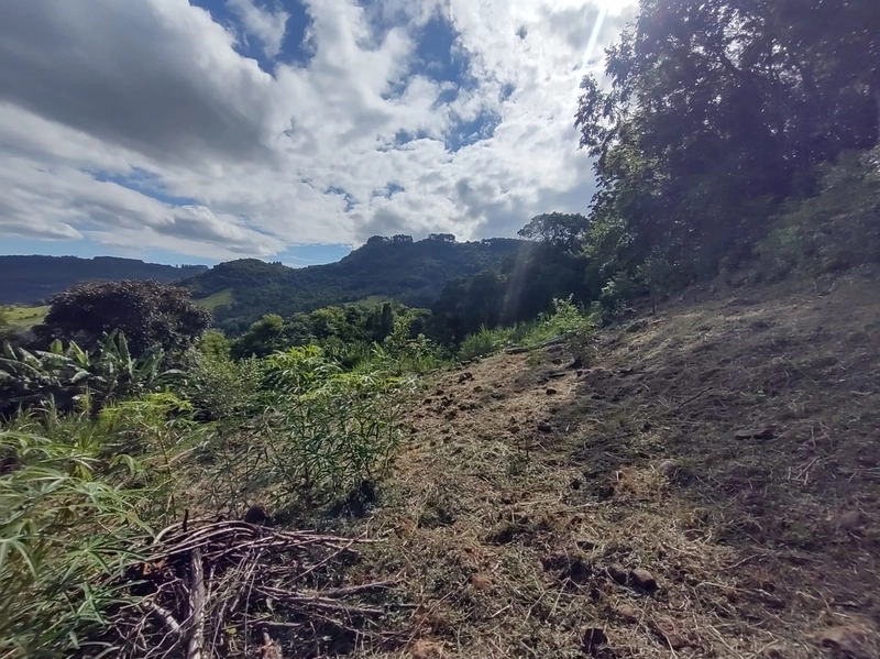 Rolante- Sítio aproximadamente 2,5 Hectares Açude/Casa Ilha Nova: 17ª foto da galeria de imagens do imóvel