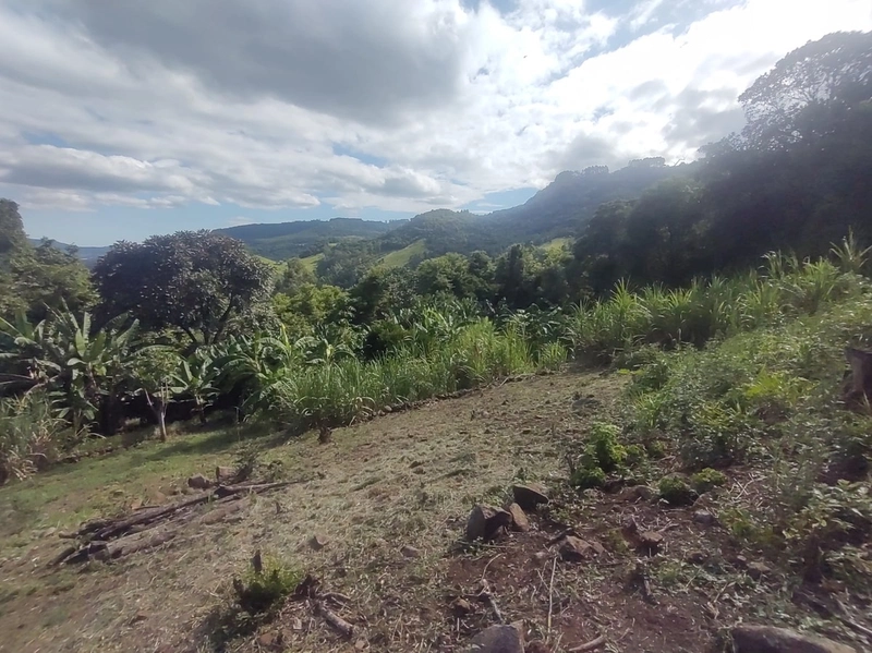 Rolante- Sítio aproximadamente 2,5 Hectares Açude/Casa Ilha Nova: 25ª foto da galeria de imagens do imóvel