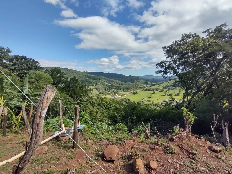 Rolante- Sítio aproximadamente 2,5 Hectares Açude/Casa Ilha Nova: 10ª foto da galeria de imagens do imóvel