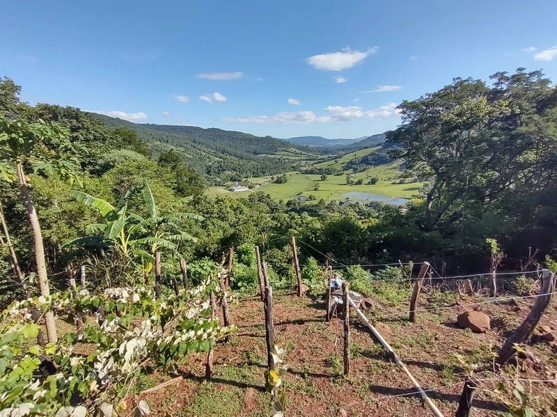 Rolante- Sítio aproximadamente 2,5 Hectares Açude/Casa Ilha Nova: 8ª foto da galeria de imagens do imóvel