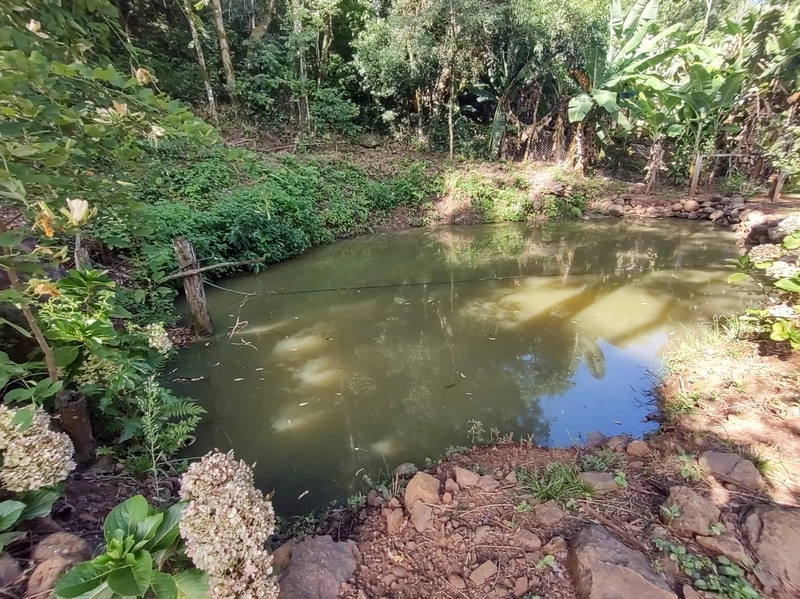 Rolante- Sítio aproximadamente 2,5 Hectares Açude/Casa Ilha Nova: 1ª foto da galeria de imagens do imóvel