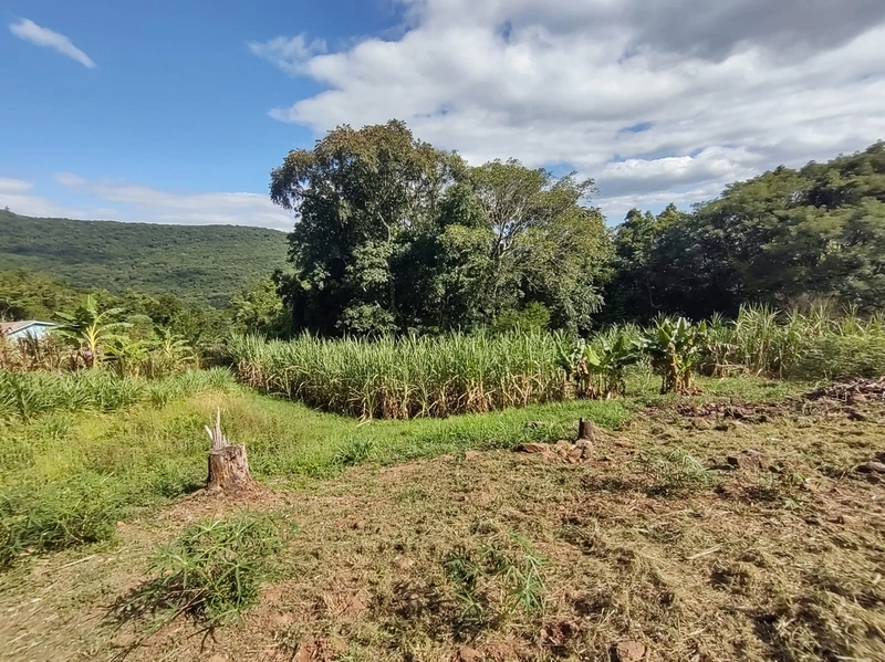 Rolante- Sítio aproximadamente 2,5 Hectares Açude/Casa Ilha Nova: 16ª foto da galeria de imagens do imóvel