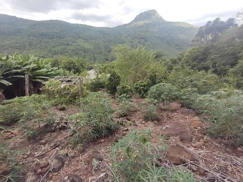 Riozinho- Sobrado e Galpão de Festas no Alto Riozinho/2 Hectares: 26ª foto da galeria de imagens do imóvel