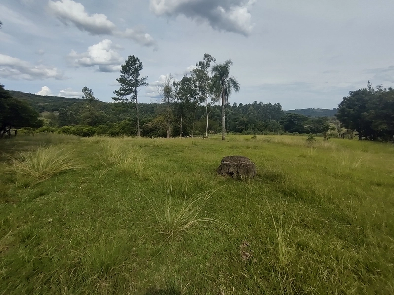 Rolante- 2.6 Hectares com Casa Mista e Piscina Campinas: 5ª foto da galeria de imagens do imóvel