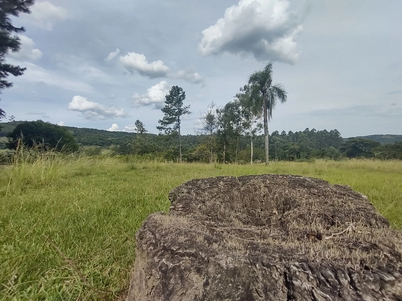 Rolante- 2.6 Hectares com Casa Mista e Piscina Campinas: 6ª foto da galeria de imagens do imóvel