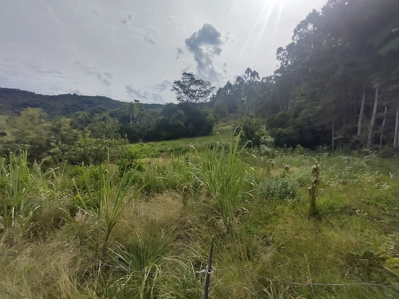 Rolante- 2.6 Hectares com Casa Mista e Piscina Campinas: 4ª foto da galeria de imagens do imóvel