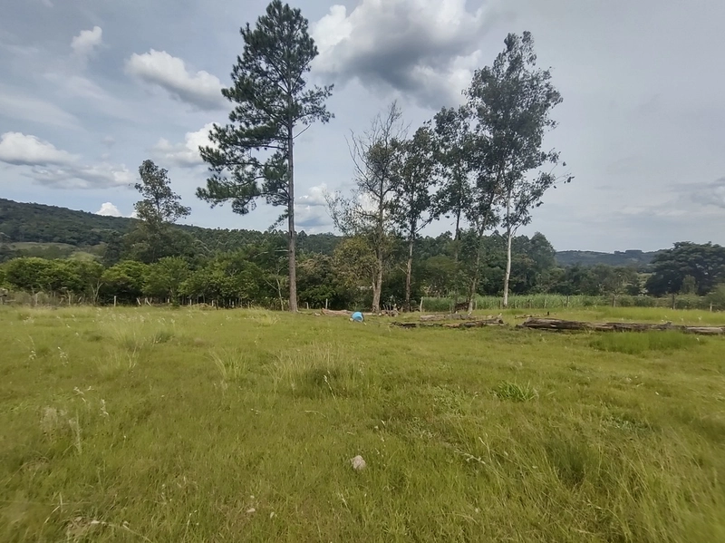 Rolante- 2.6 Hectares com Casa Mista e Piscina Campinas: 3ª foto da galeria de imagens do imóvel