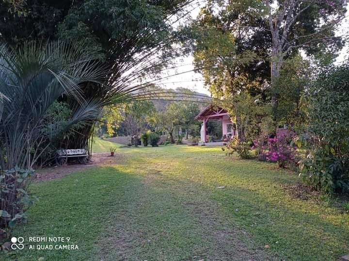 Rolante- 2.6 Hectares com Casa Mista e Piscina Campinas: 11ª foto da galeria de imagens do imóvel