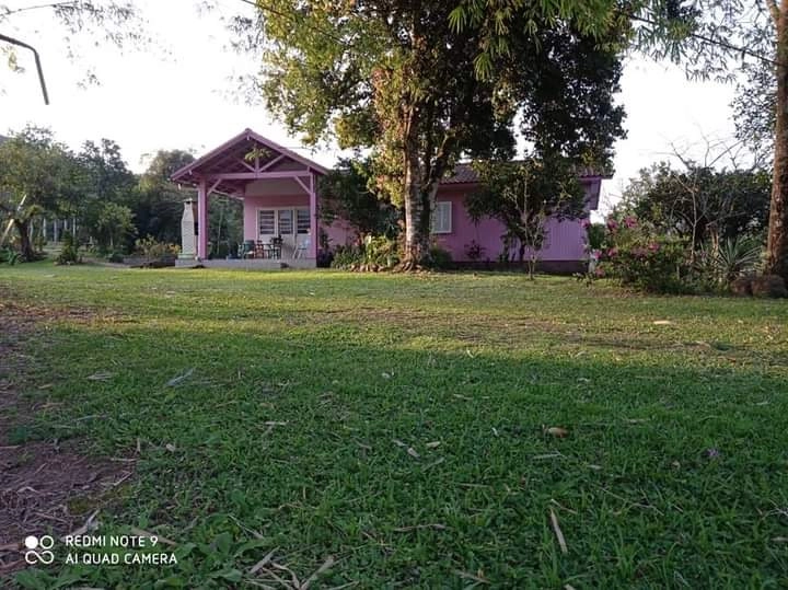 Rolante- 2.6 Hectares com Casa Mista e Piscina Campinas: 1ª foto da galeria de imagens do imóvel