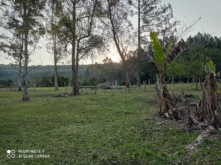 Rolante- 2.6 Hectares com Casa Mista e Piscina Campinas: 31ª foto da galeria de imagens do imóvel