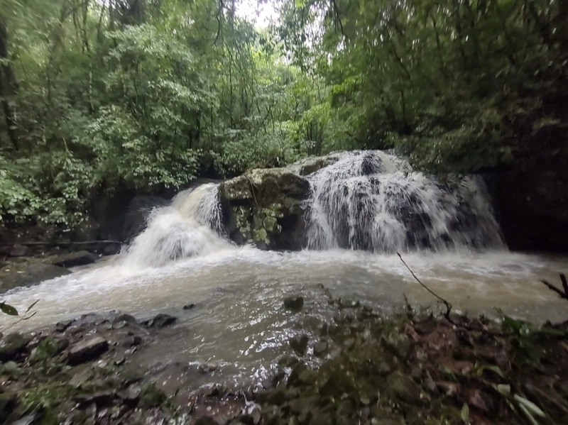 Riozinho- 6 Hectares com Cascata Linha 5: 1ª foto da galeria de imagens do imóvel