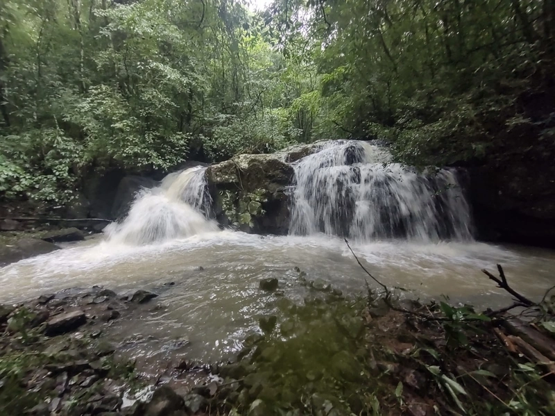 Riozinho- 6 Hectares com Cascata Linha 5: 11ª foto da galeria de imagens do imóvel