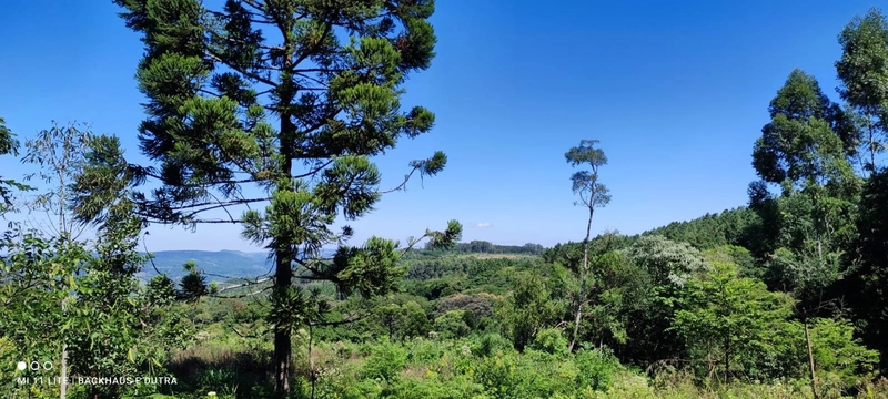 Rolante- Sítios 3.000 m² no Caminho das Pipas Morro Grande: 2ª foto da galeria de imagens do imóvel