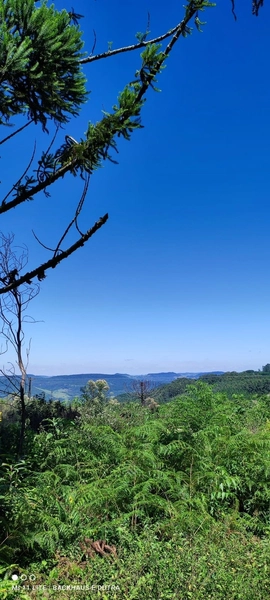 Rolante- Sítios 3.000 m² no Caminho das Pipas Morro Grande: 8ª foto da galeria de imagens do imóvel