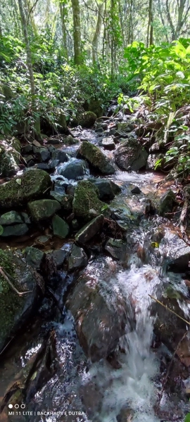 Rolante- Sítios 3.000 m² no Caminho das Pipas Morro Grande: 5ª foto da galeria de imagens do imóvel