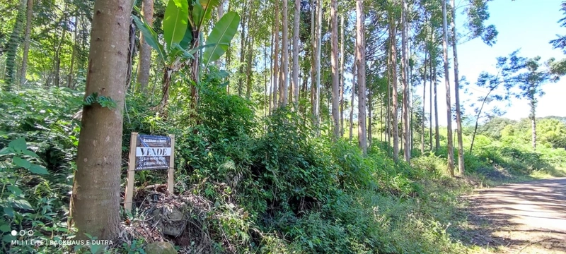 Rolante- Sítios 3.000 m² no Caminho das Pipas Morro Grande: 4ª foto da galeria de imagens do imóvel